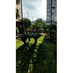Cải tạo cây xanh kho GONSA