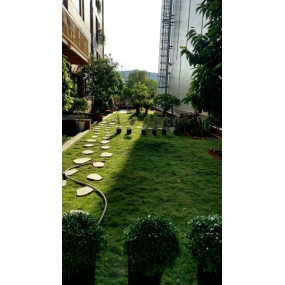 Cải tạo cây xanh kho GONSA