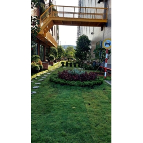 Cải tạo cây xanh kho GONSA