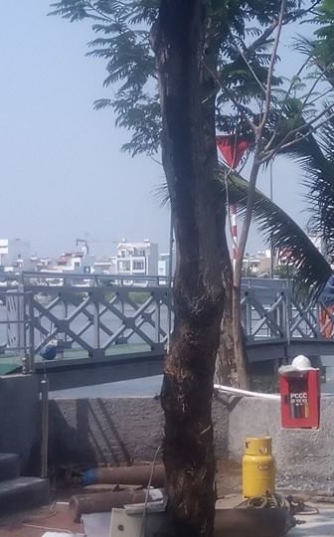 Bến khu du lịch Tân Cảng.