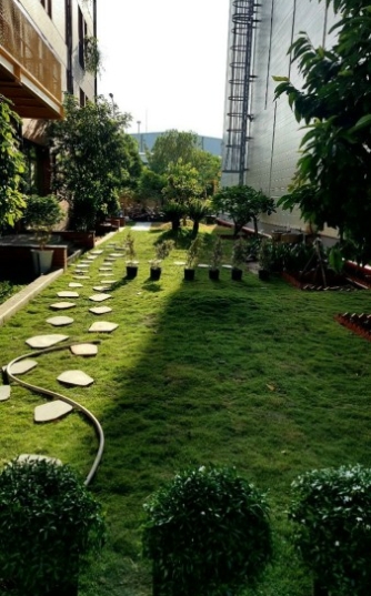 Cải tạo cây xanh kho GONSA